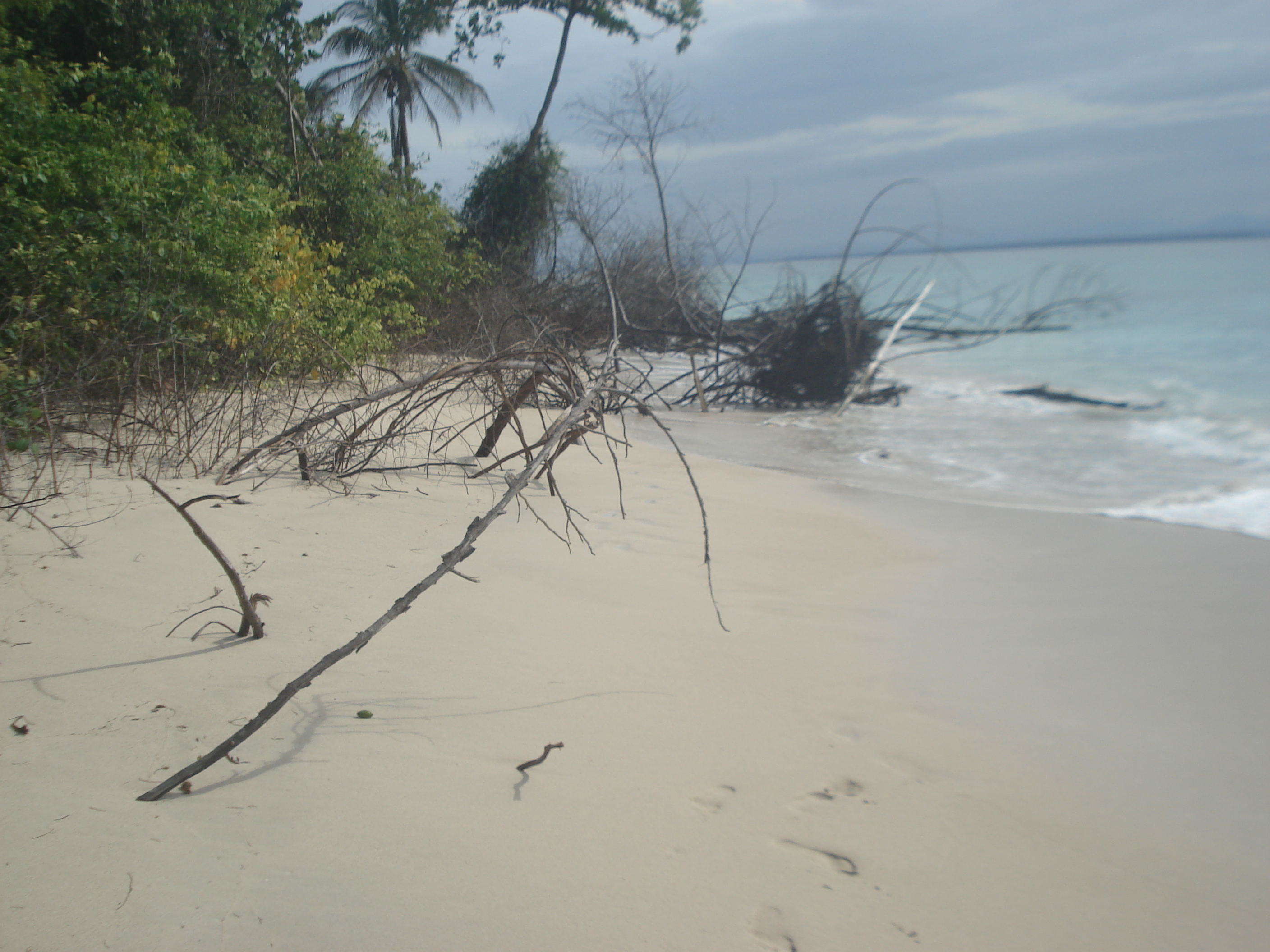 🌴 Bocas del Toro: Paraíso Caribeño y Tesoro Natural de Panamá