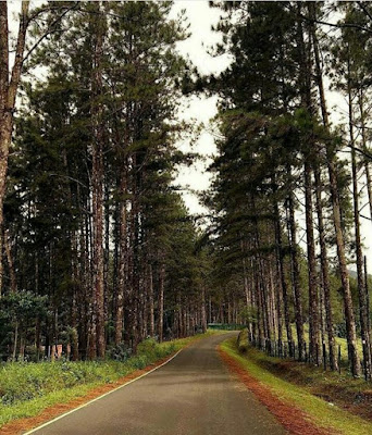 Las Minas, Herrera-Panamá