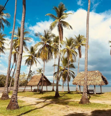 Playa Las Mellizas, Chiriquí