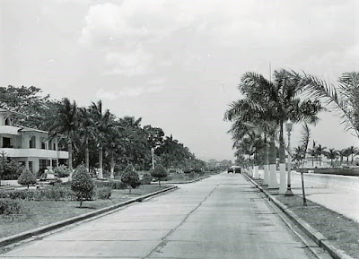 Avenida Balboa, Ciudad de Panamá en 1950