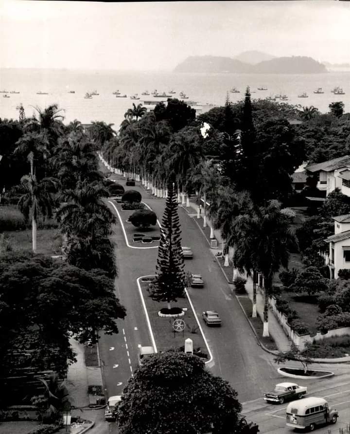 Avenida Federico Boyd en 1961.